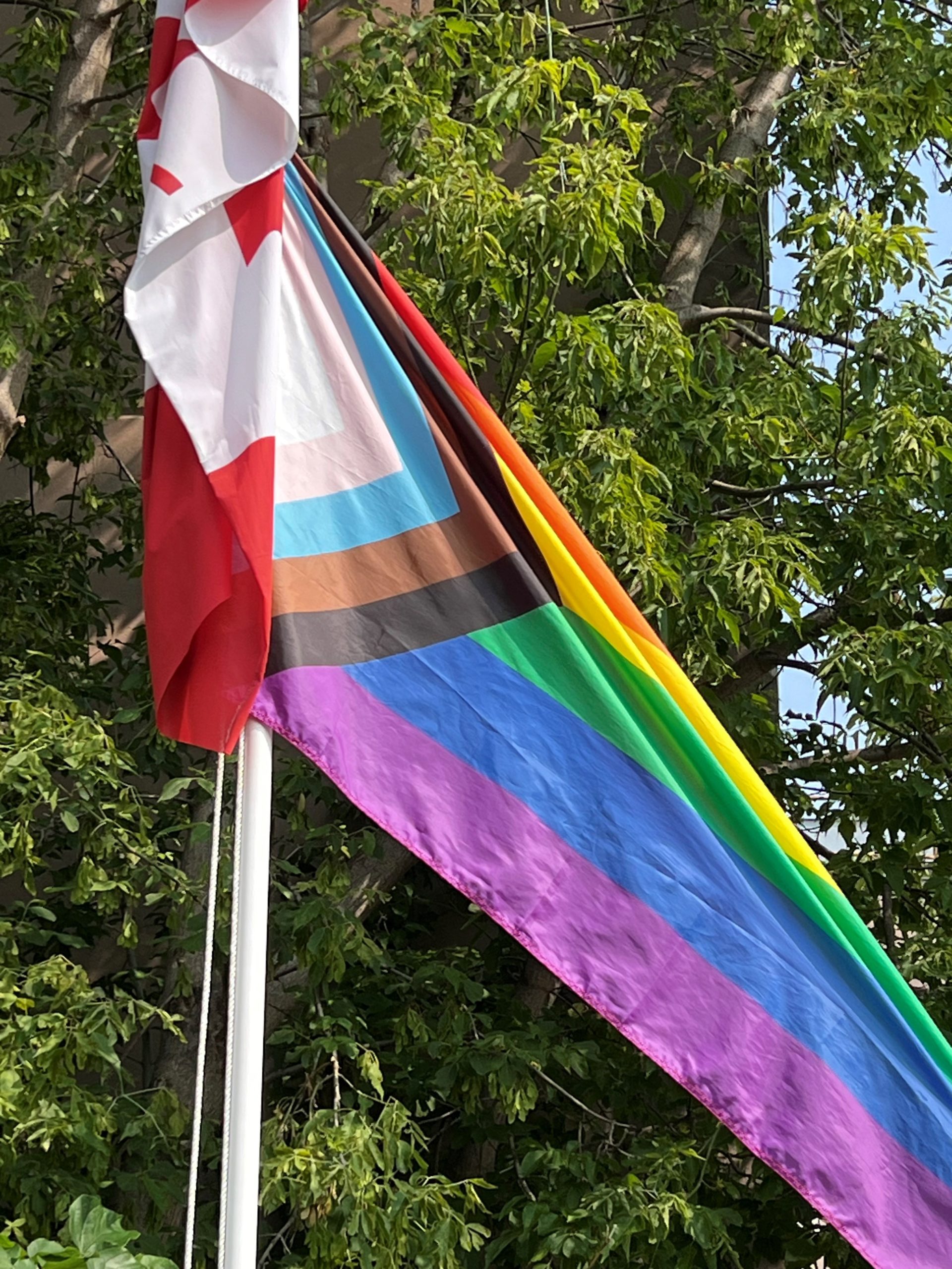 A Progress Pride flag and part of a Canadian flag are flying on a flagpole in front of leafy green trees.